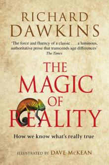      The Magic of Reality