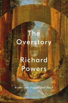      The Overstory