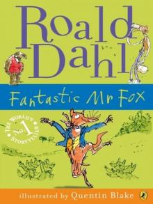      Fantastic Mr Fox