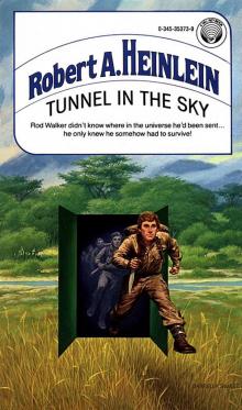      Tunnel in the Sky