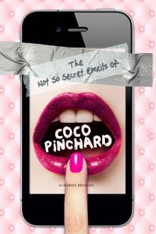      The Not So Secret Emails Of Coco Pinchard (A Romantic Comedy)