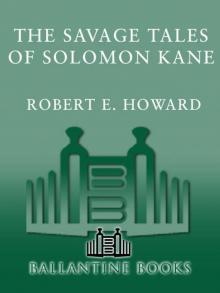      The Savage Tales of Solomon Kane