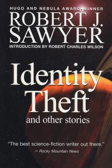      Identity Theft and Other Stories