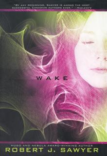      Wake