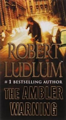      The Ambler Warning