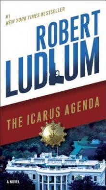      The Icarus Agenda: A Novel