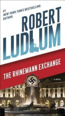      The Rhinemann Exchange: A Novel