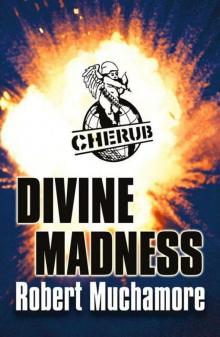      Divine Madness