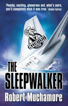      The Sleepwalker