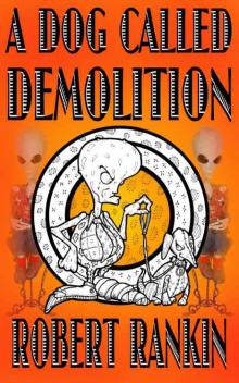      A Dog Called Demolition