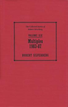 The Collected Stories of Robert Silverberg, Volume 6: Multiples: 1983-87