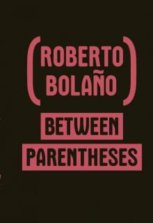      Between Parentheses: Essays, Articles, and Speeches, 1998-2003