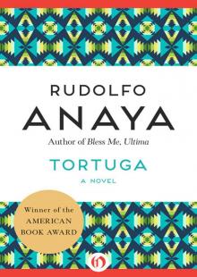      Tortuga