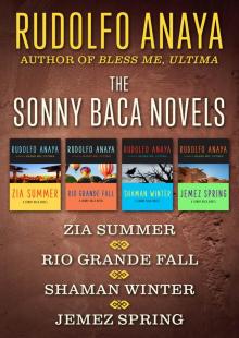      Zia Summer, Rio Grande Fall, Shaman Winter, and Jemez Spring