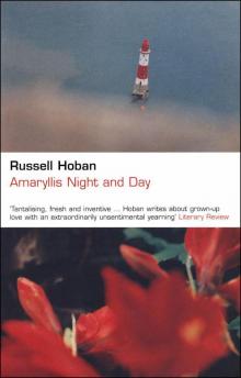      Amaryllis Night and Day