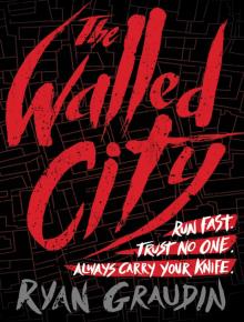      The Walled City