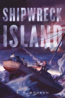      Shipwreck Island