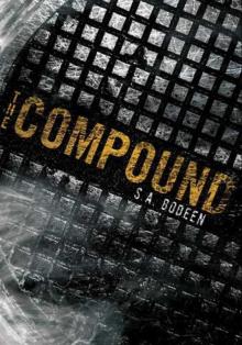      The Compound