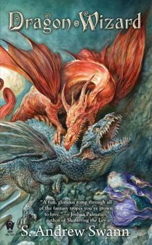      Dragon Wizard