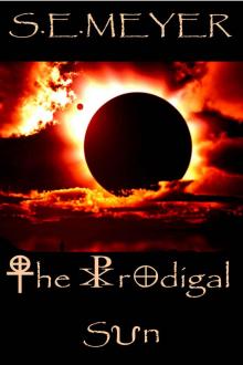      The Prodigal Sun: A Novel
