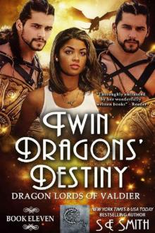      Twin Dragon’s Destiny