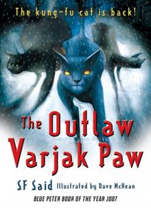      The Outlaw Varjak Paw