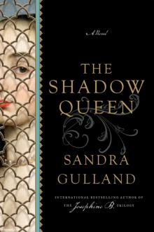      The Shadow Queen