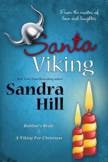      Santa Viking