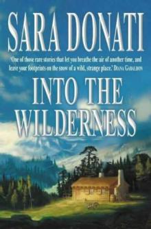      Into the Wilderness
