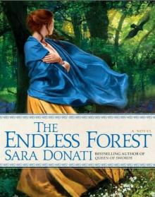      The Endless Forest