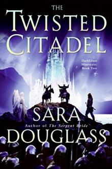      The Twisted Citadel