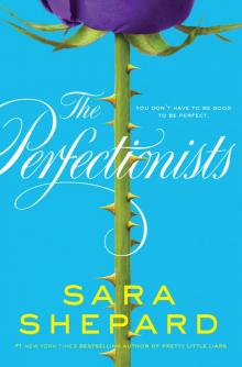      The Perfectionists