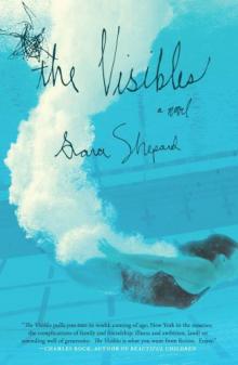      The Visibles