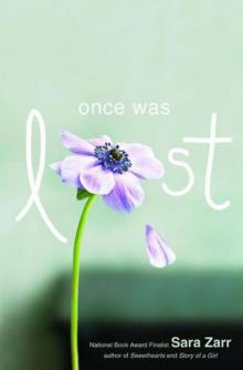      Once Was Lost