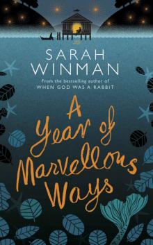      A Year of Marvellous Ways