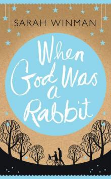      When God Was a Rabbit