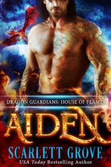      Aiden: House of Flames