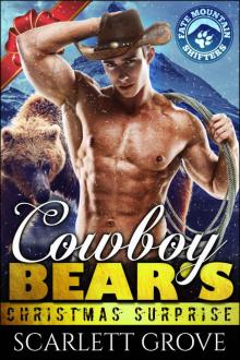      Cowboy Bear's Christmas Surprise