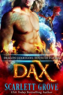      Dax_House of Flames