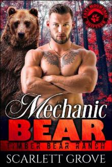      Mechanic Bear