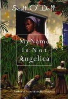      My Name Is Not Angelica
