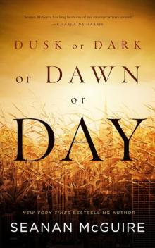      Dusk or Dark or Dawn or Day