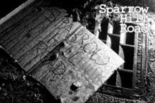      Sparrow Hill Road 2010 By Seanan