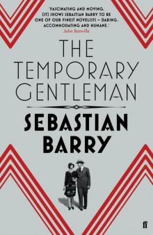      The Temporary Gentleman