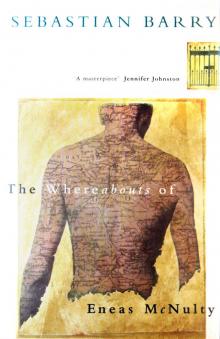      The Whereabouts of Eneas McNulty
