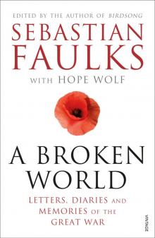      A Broken World: Letters, Diaries and Memories of the Great War