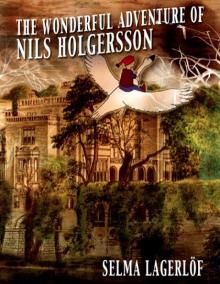      The Wonderful Adventures of Nils