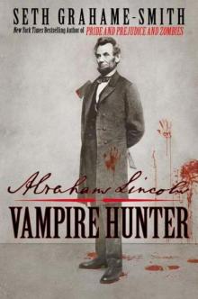     Abraham Lincoln: Vampire Hunter