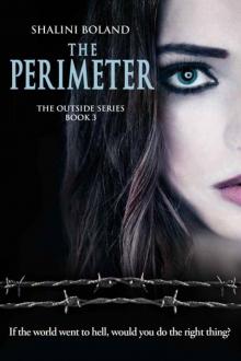      The Perimeter