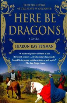     Here Be Dragons